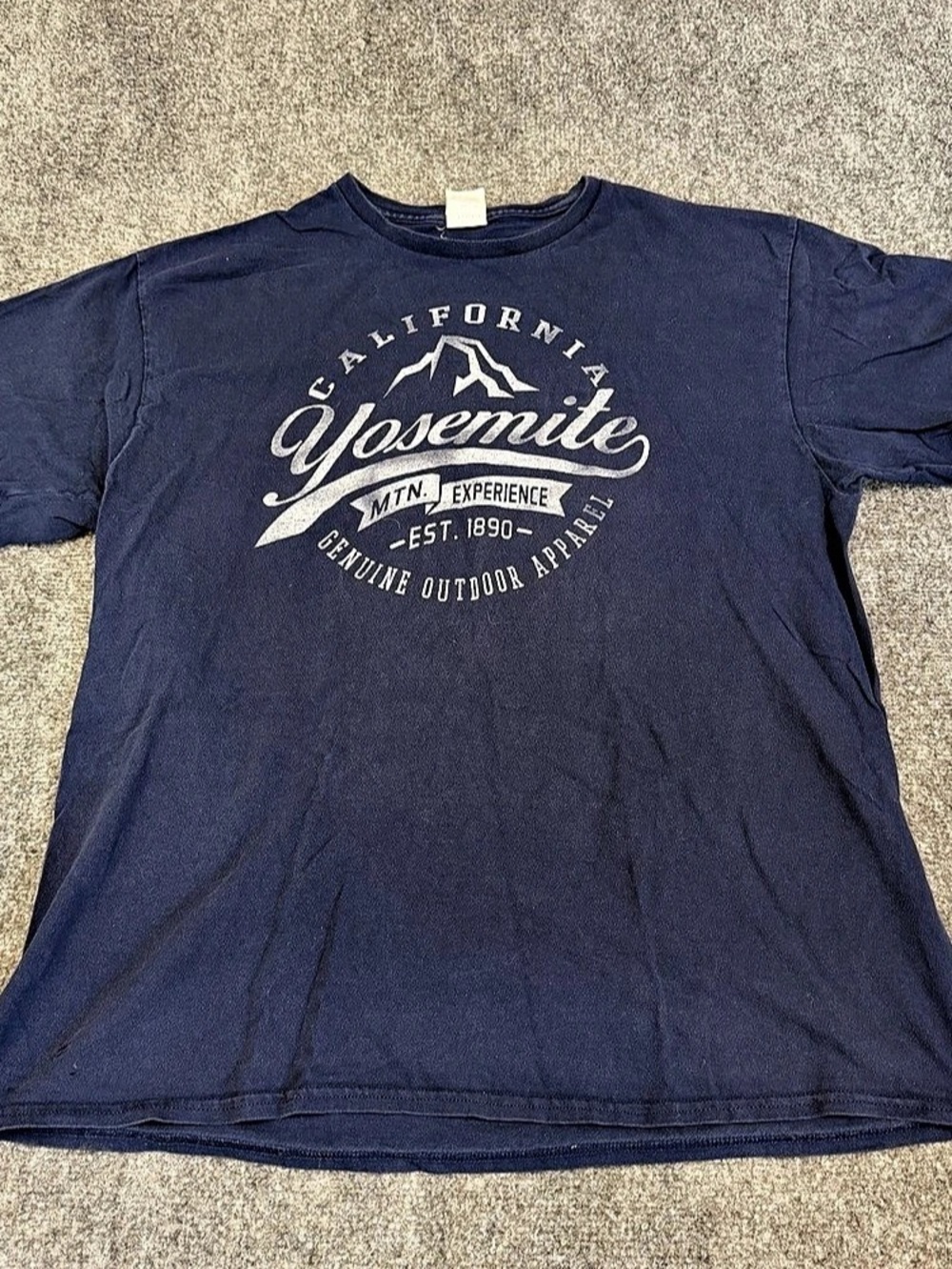 Delta Pro Weight Yosemite National Park Graphic Tee Blue XL